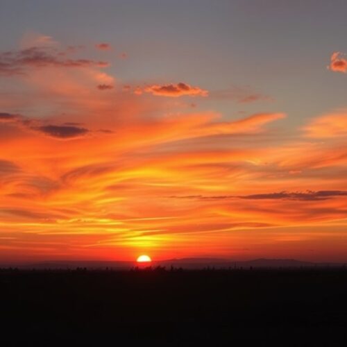 Co zrobić, gdy Face ID w iPhone 11 nie działa?